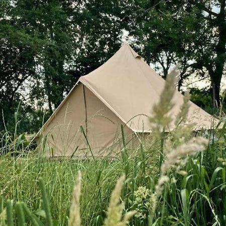 'T Schaaphof Tent En Ontbijt Ξενοδοχείο Deinze Εξωτερικό φωτογραφία